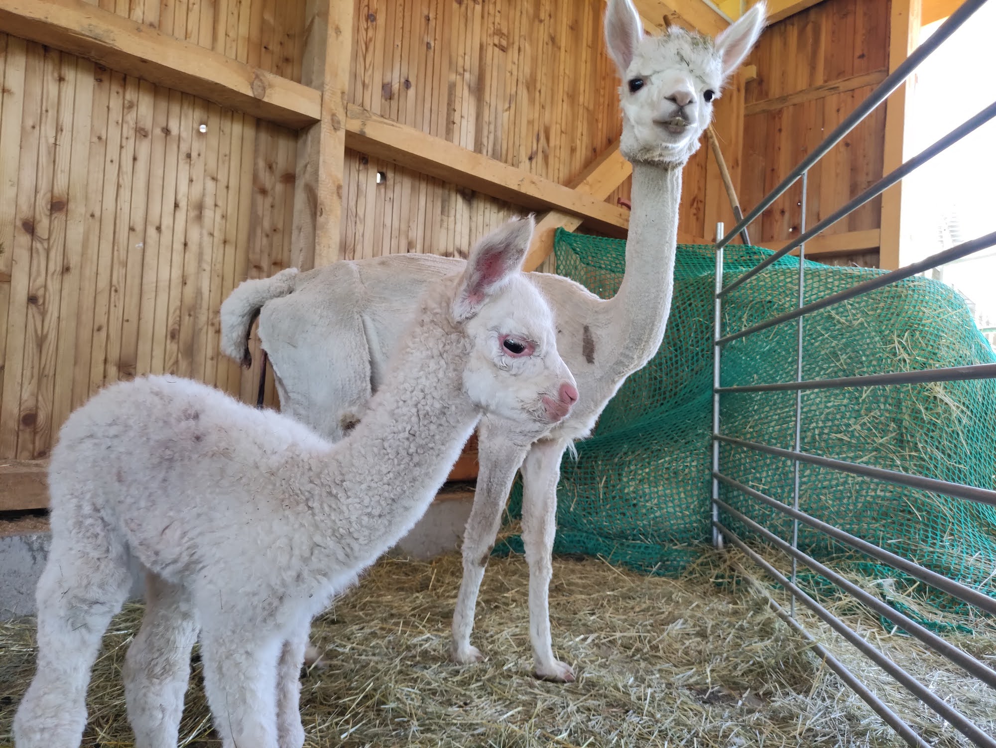 FarmLab Visits